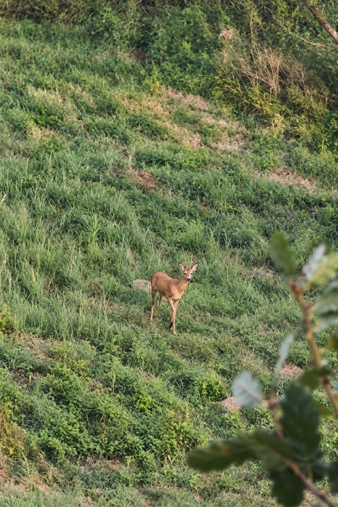 H Retreat — experience